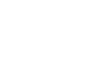 arie
