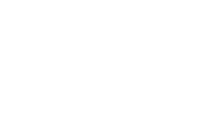 dibagsa