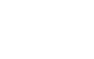 falcon