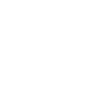 icami