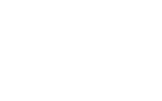 rm consultores