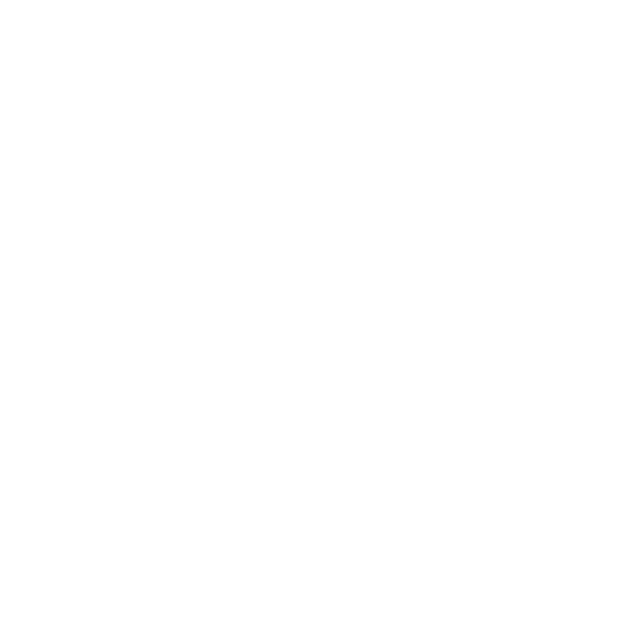 slowlab